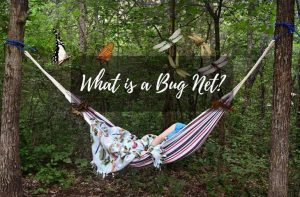 What is a Bug Net