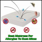 Best-Mattress-For-Allergies-To-Dust-Mites - Sleep Chillout