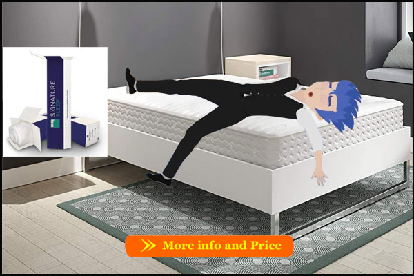 Best mattress for rental property