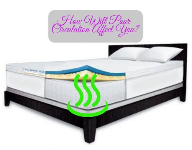 A Comprehensive Guide To Choosing The Right Mattress Circulation