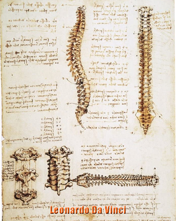 Secret-Low-Back-Pain-Cure Spine and back pain